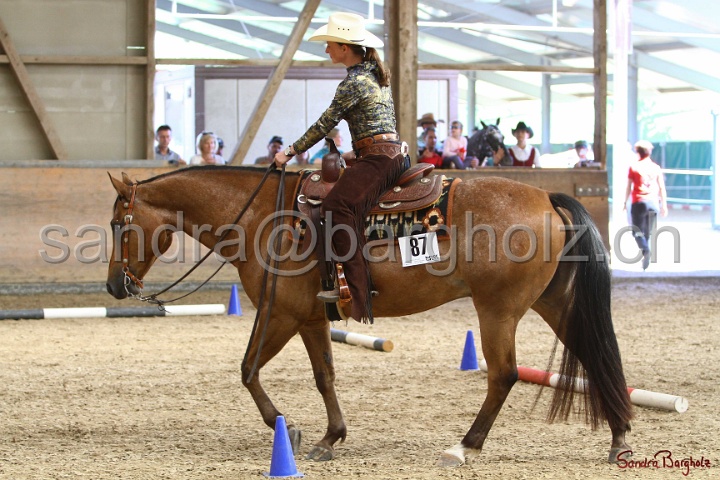 28-ApHC OT_028.jpg